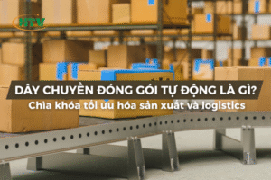 Dây chuyền đóng gói tự động là gì? Chìa khóa tối ưu hóa sản xuất và logistics